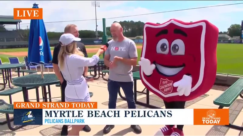 Myrtle Beach Pelicans