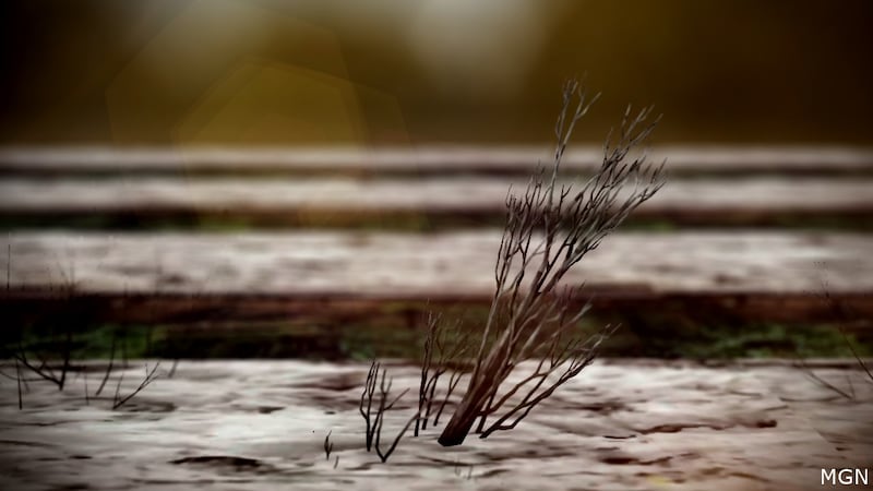 The river ranked fifth on American Rivers’ list of Most Endangered Rivers in the U.S. (Generic...