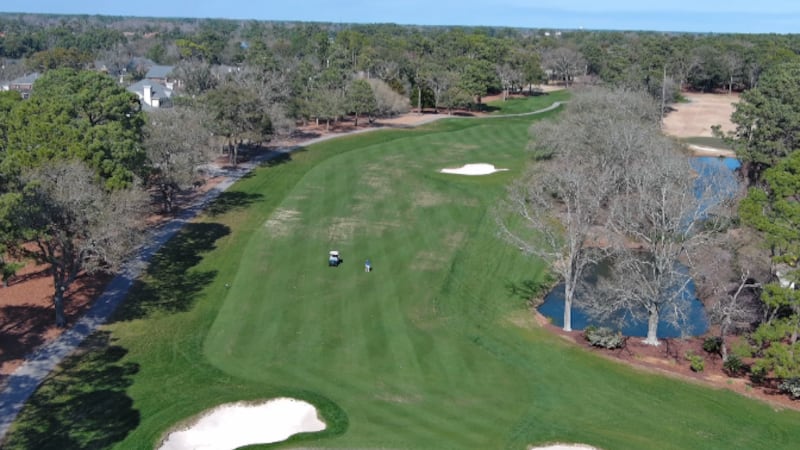 Golf pros will flood the Grand Strand for the Myrtle Beach Classic, but there are stars behind...