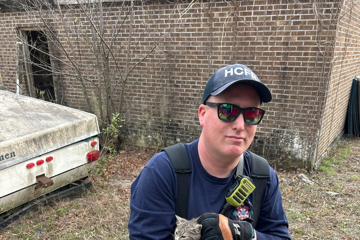 preloaded gallery image