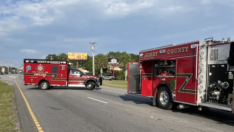 Horry County Fire Rescue said crews responded to the wreck in the area of Highway 17 and...
