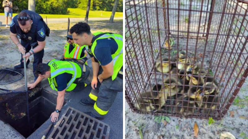 Myrtle Beach firefighters and a Myrtle Beach police officer flew into action to save 12...
