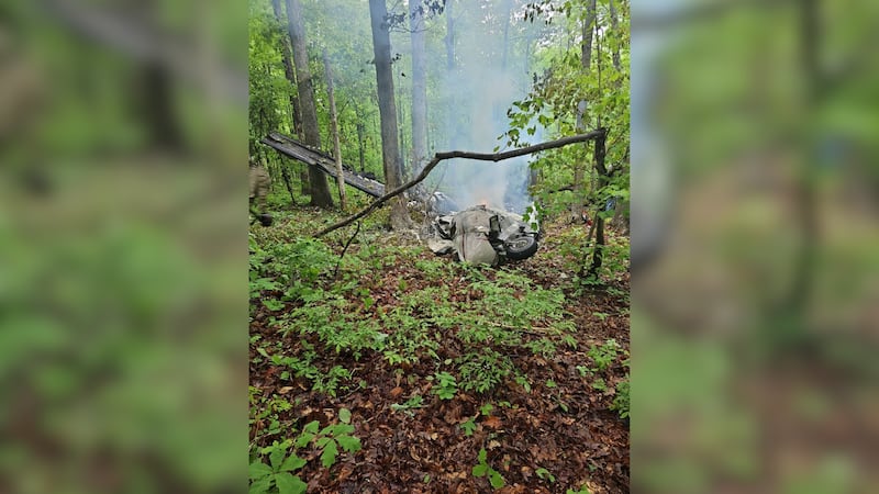 Two people were killed in a Virignia plane crash Sunday while on their way to Georgetown...