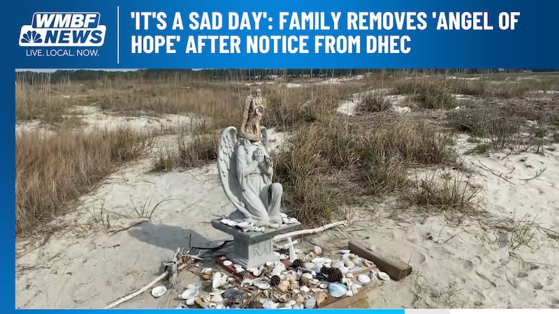 Jepson said her family put up the statue in August 2023 to honor her late brother, Andy Hayes,...