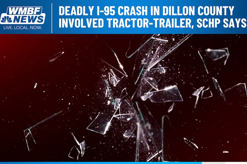 Authorities have released more details about a deadly crash along Interstate 95 in the Pee Dee.