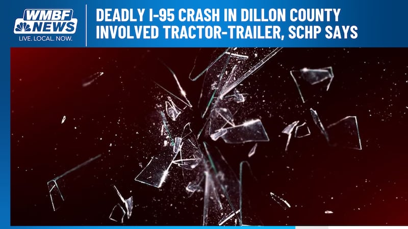 Authorities have released more details about a deadly crash along Interstate 95 in the Pee Dee.