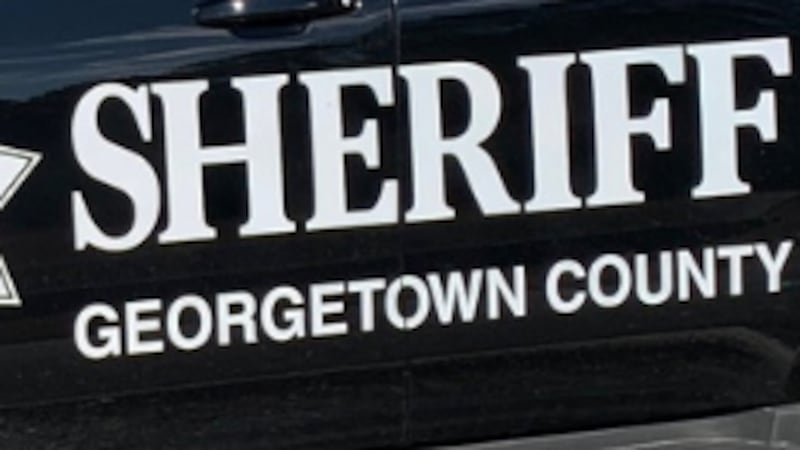 Georgetown County Sheriff's Office vehicle
