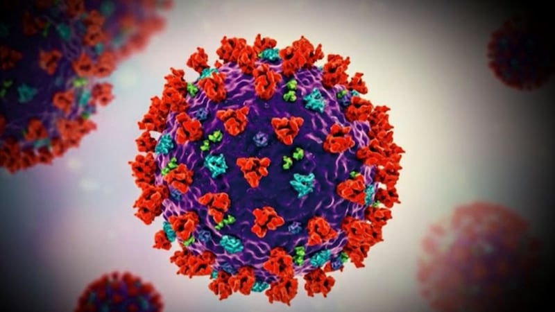 The South Carolina Department of Health and Environmental Control on Friday announced 15,409...