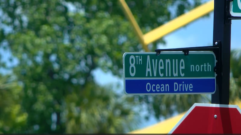 City cameras helped North Myrtle Beach police find a hit-and-run suspect in a matter of hours.