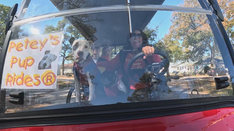 Karola Richardson and her dog Petey carts pups around town for fun.